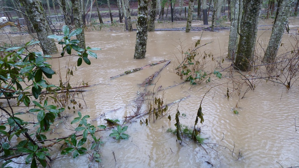 Bedroom Encroachment