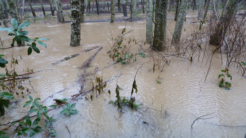 Bedroom Encroachment