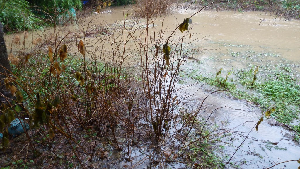 Ingress Egress Denied