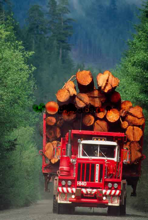 Logging Truck