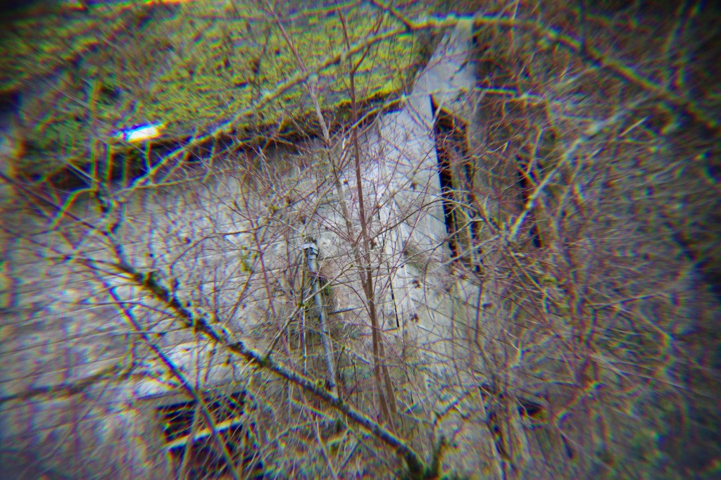 Skokomish Home Revisited