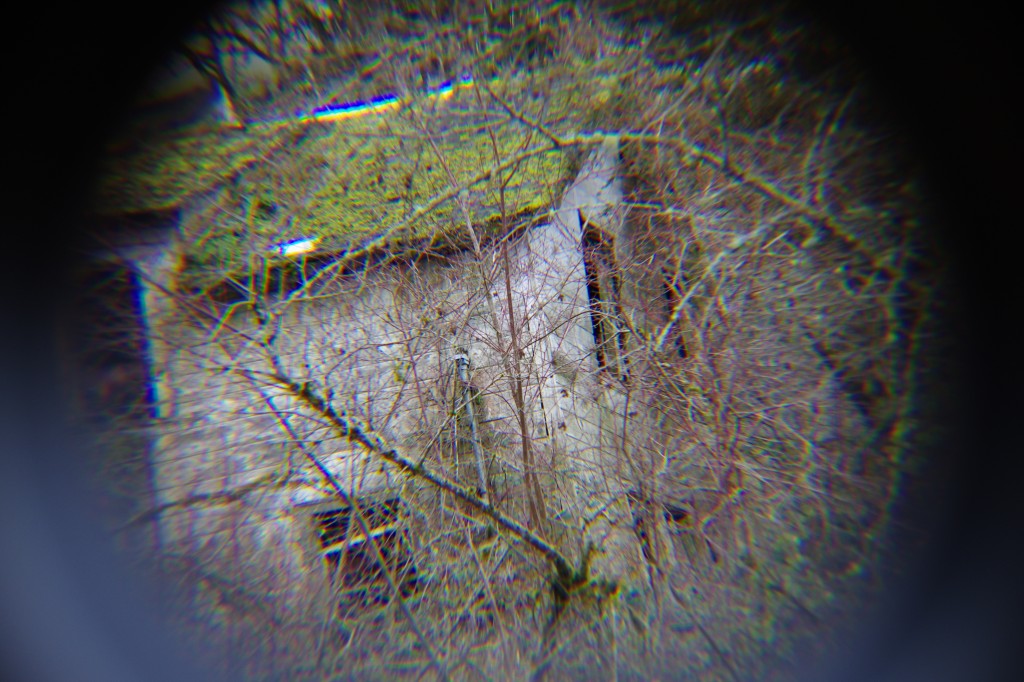 Ancestral Skokomish Home