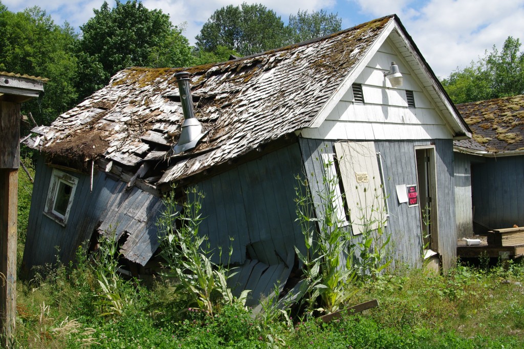 Reclaimed by mother nature and the Skokomish River 1st we wither, then decay