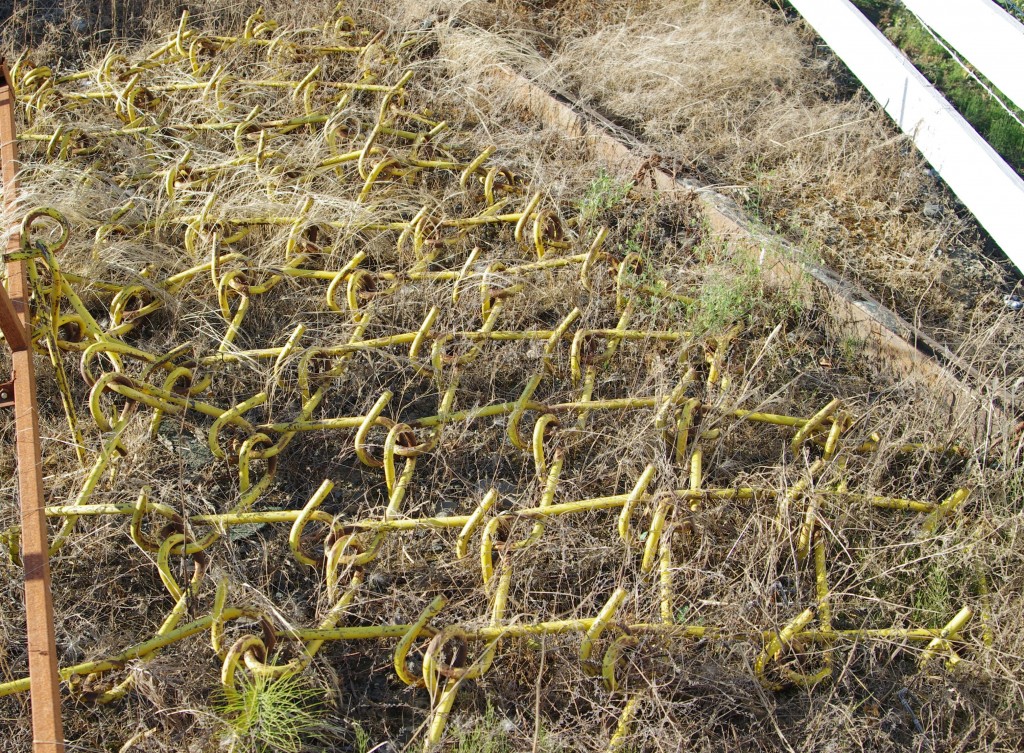 A Kind of Rake Drug behind a Tractor to Smooth the Soil After Disc Work IMGP2825crp
