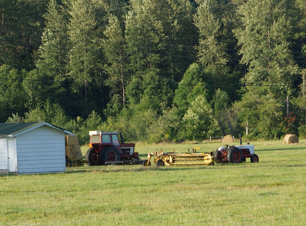 Tractors, Hay Rake IMGP2866crp
