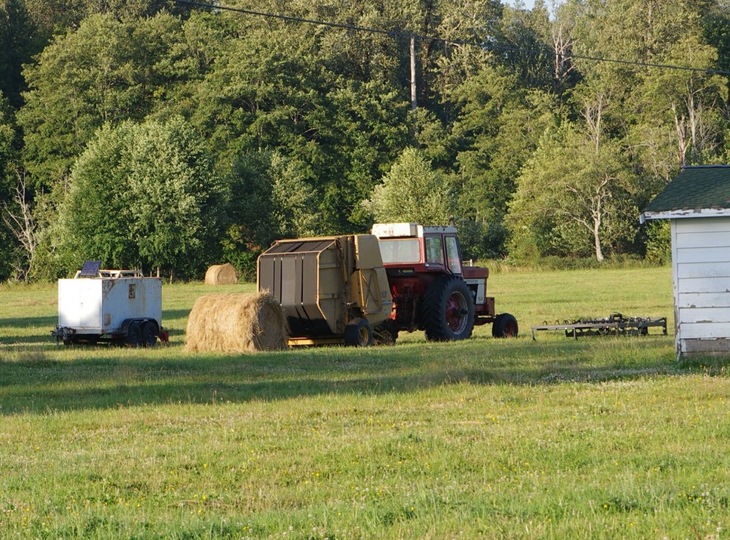 Farm Implements IMGP2869crp