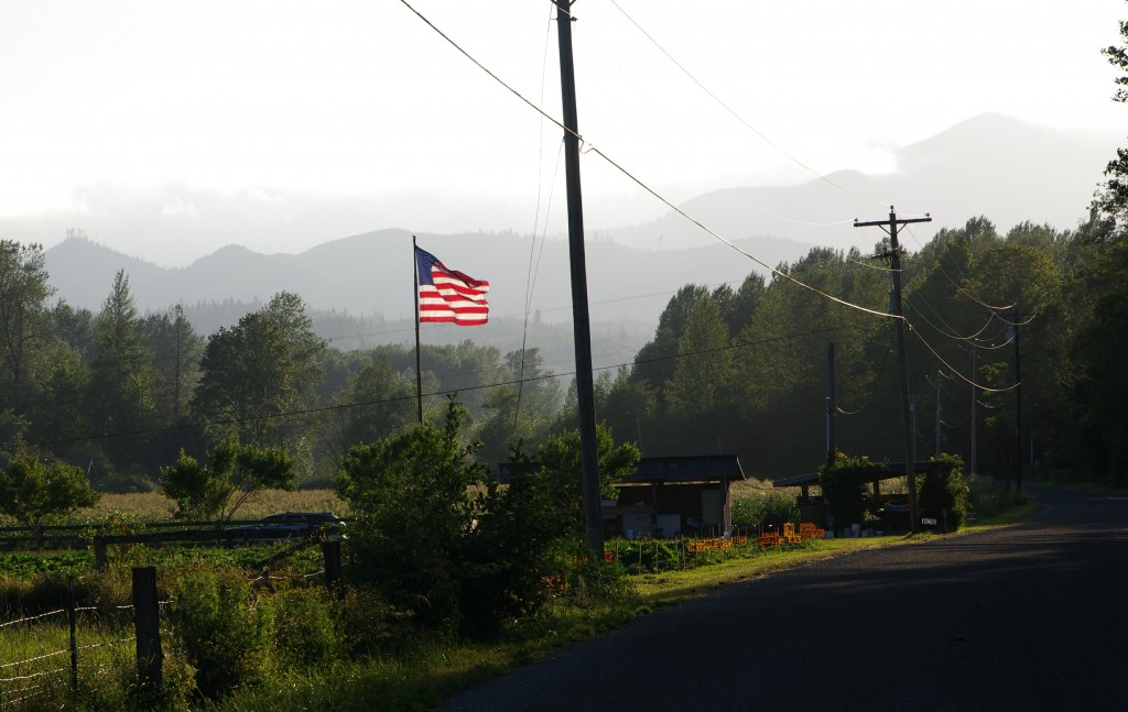 Farm Fresh Produce w/touch of Patriotism IMGP2873crp
