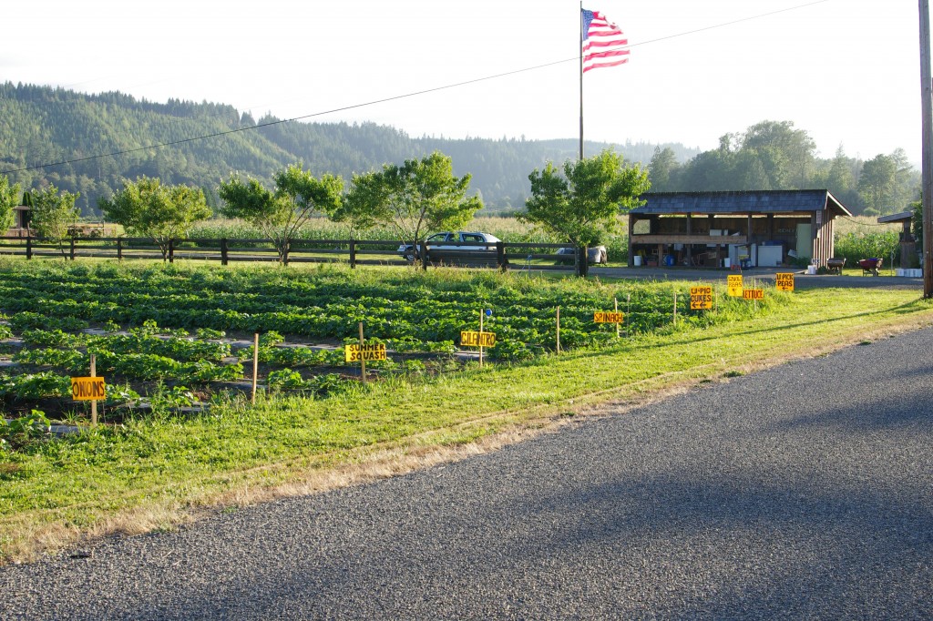 IMGP2889