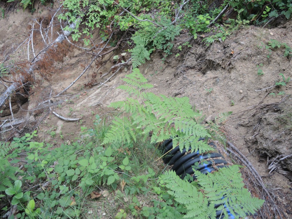Eastside of 800-line Road Incredibly Steep Terrain