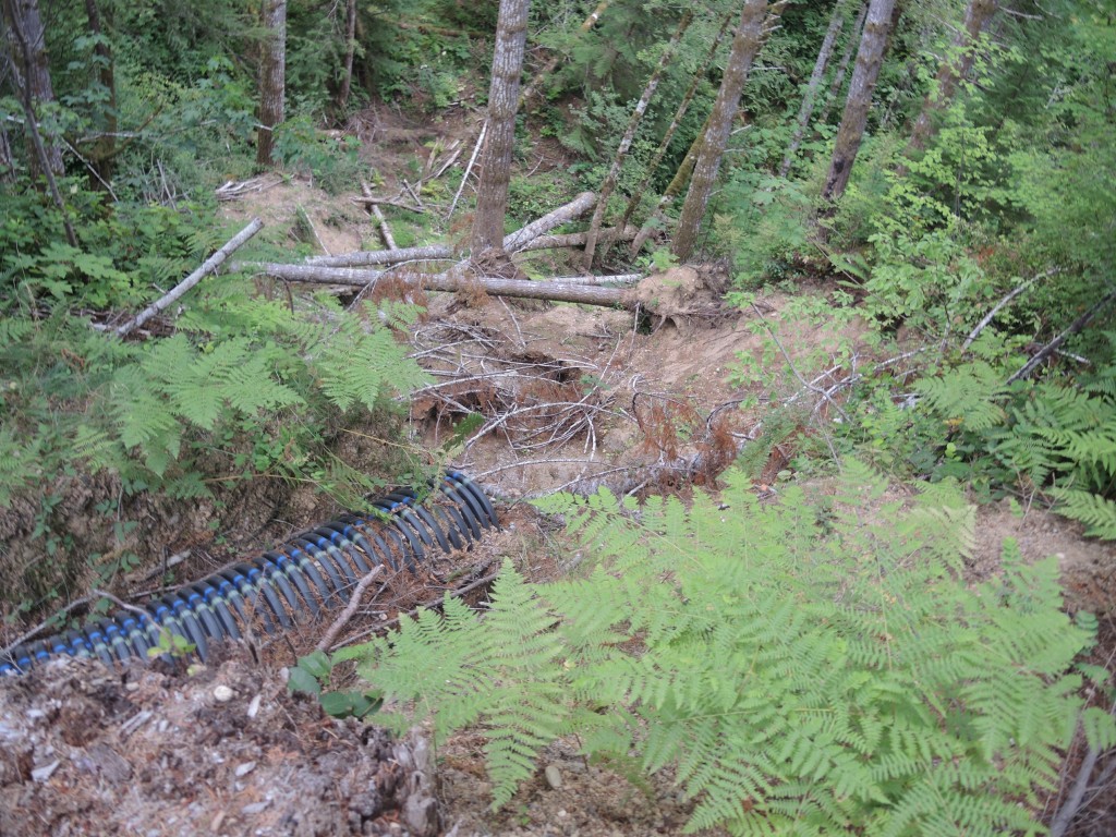 Impossibly Steep Terrain Destroyed by Greed Near NEW Logging Road Construction