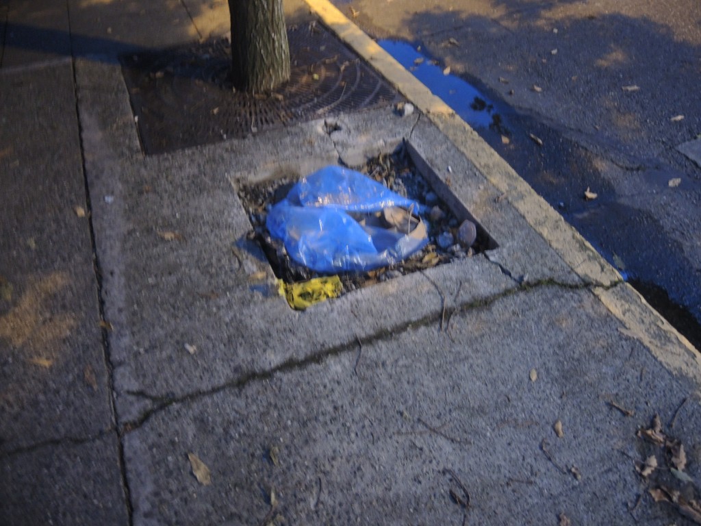 If the Litterbug Isn't Poor, Does Anyone Notice? Trash Unrelated to the Good Samaritans