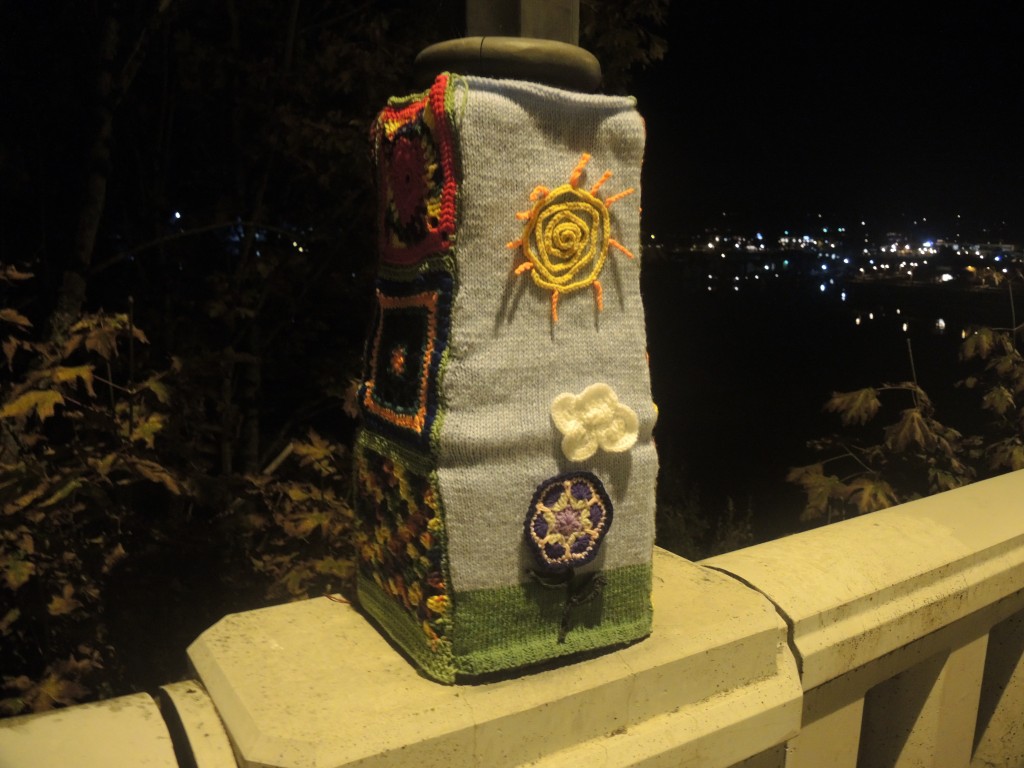 DSCN1817