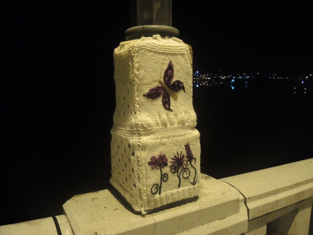 DSCN1823