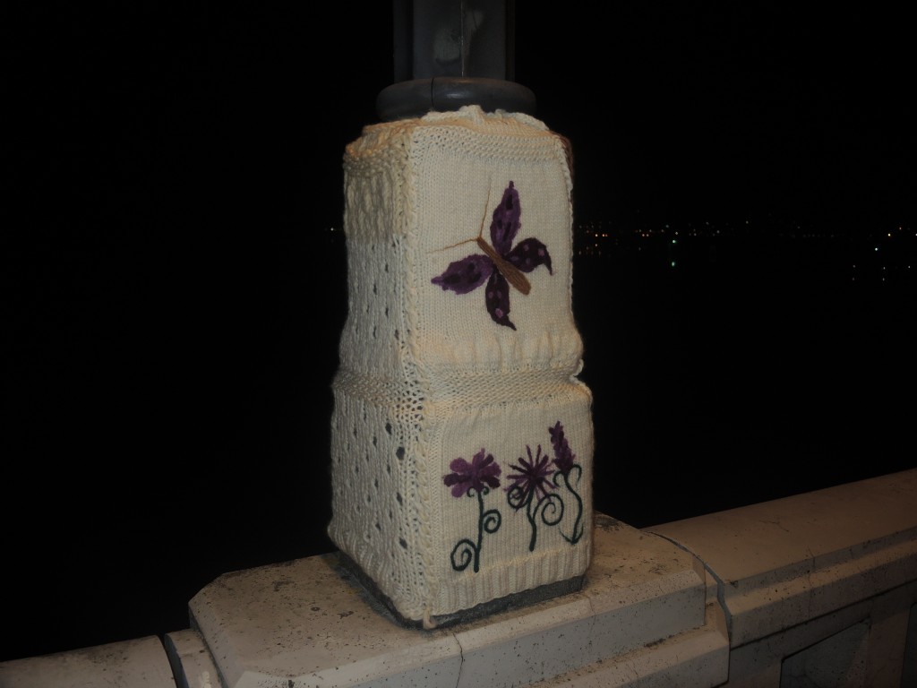 DSCN1824