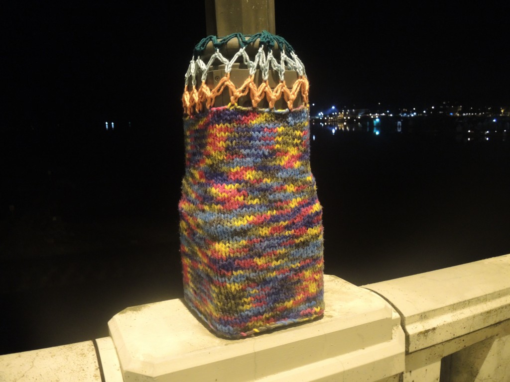 DSCN1829