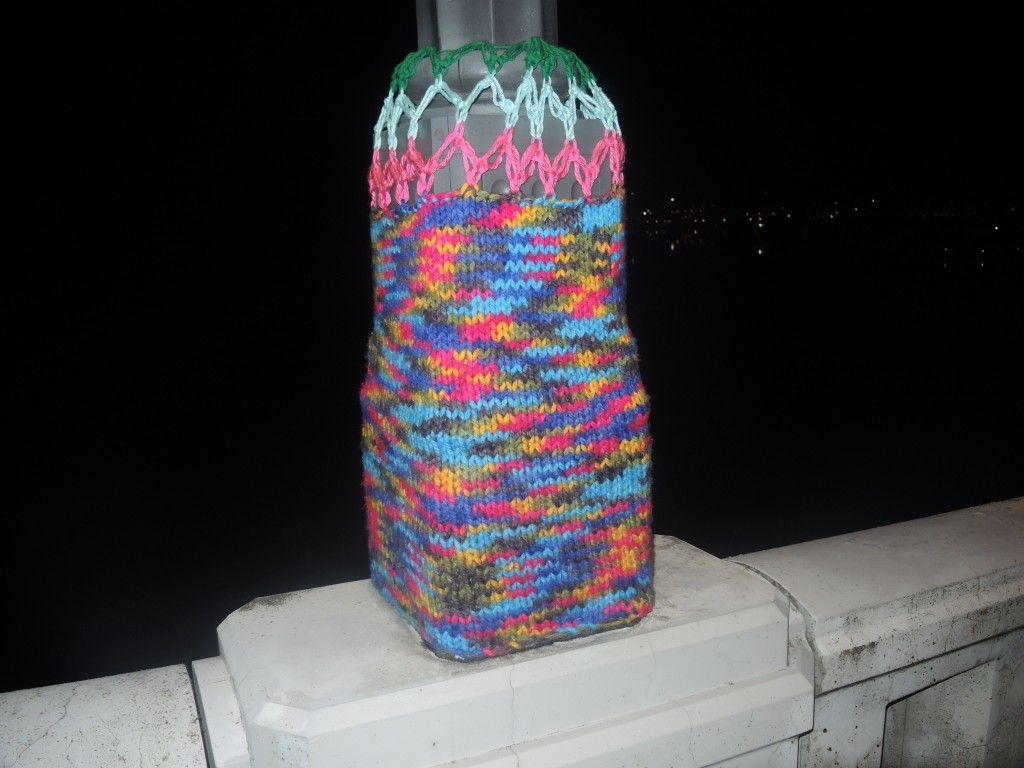 DSCN1830