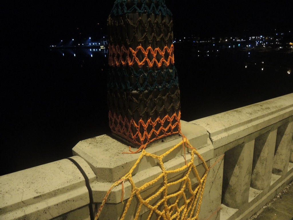 DSCN1831
