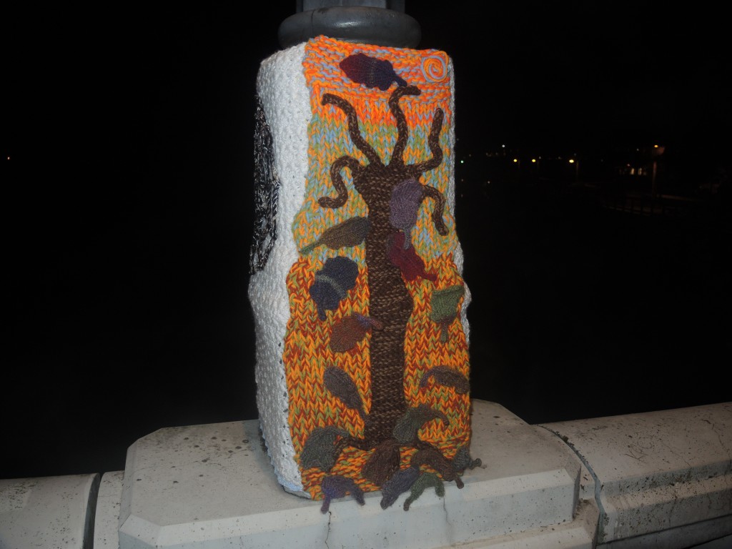 DSCN1850