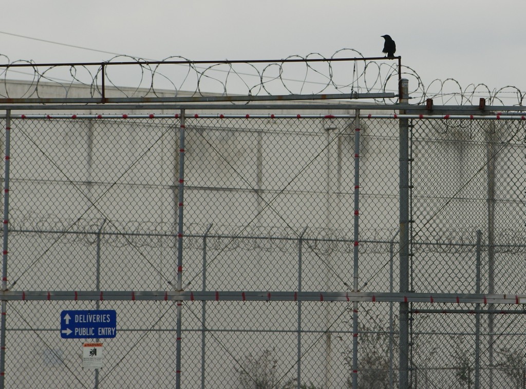 American Immigration Gulag