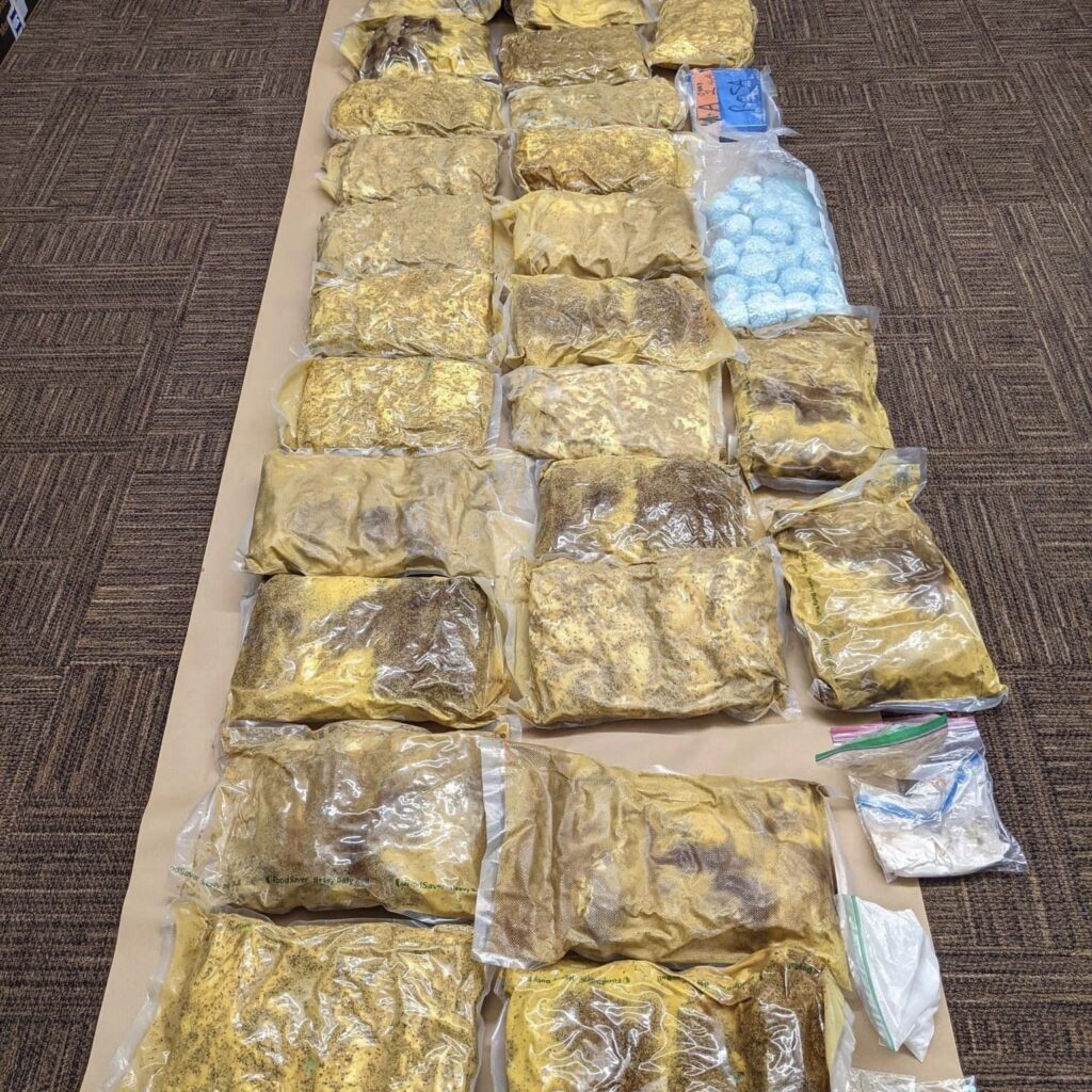 Drug Bust